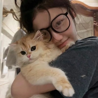假元首秘纪
